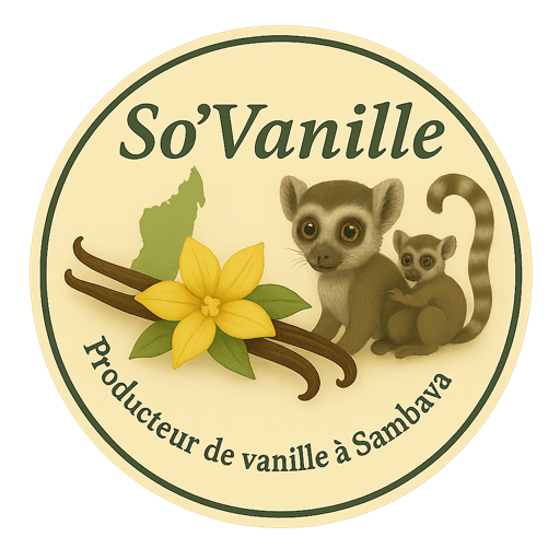 Vanille de Madagascar visuel 2